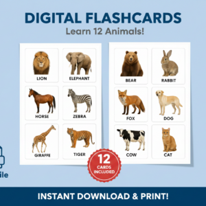cute animal flash cards for kids